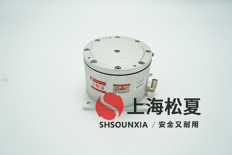 電廠石膏漿液安裝SDS充氣減震器的技術探討